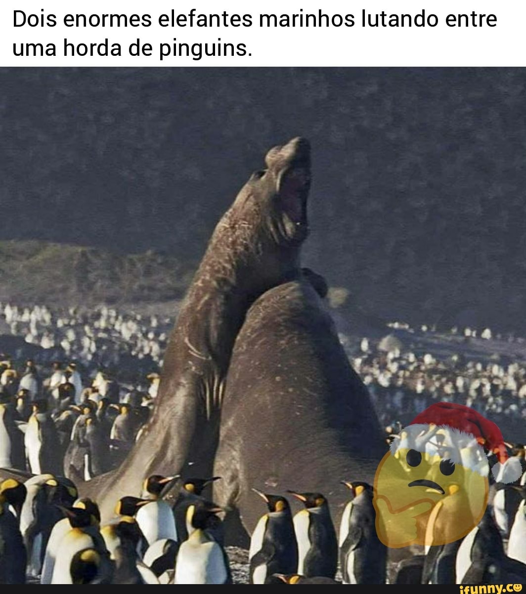 Dois pinguins tentando subir uma montanha e falhando