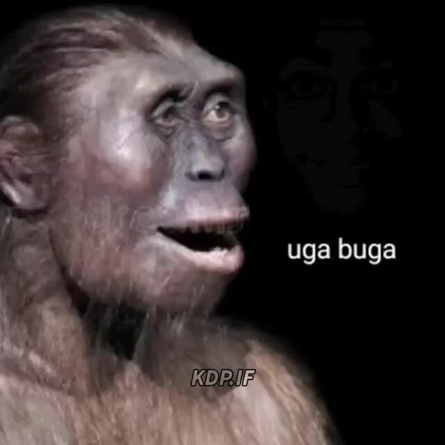 Uga buga, macho faz cimento - Meme by KaikeMB :) Memedroid