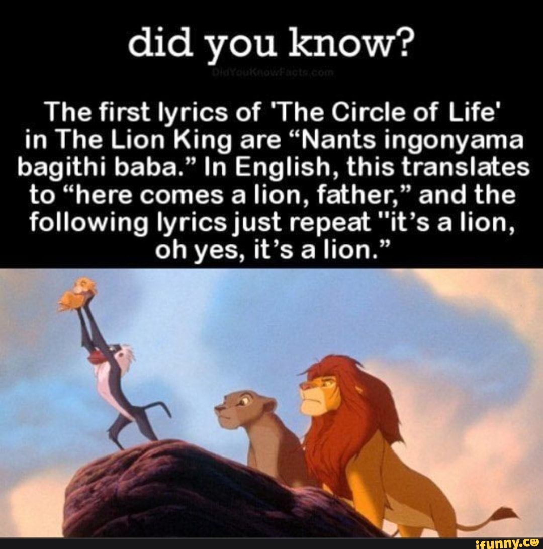 What the lyrics in the Lion King's Circle of Life actually mean in