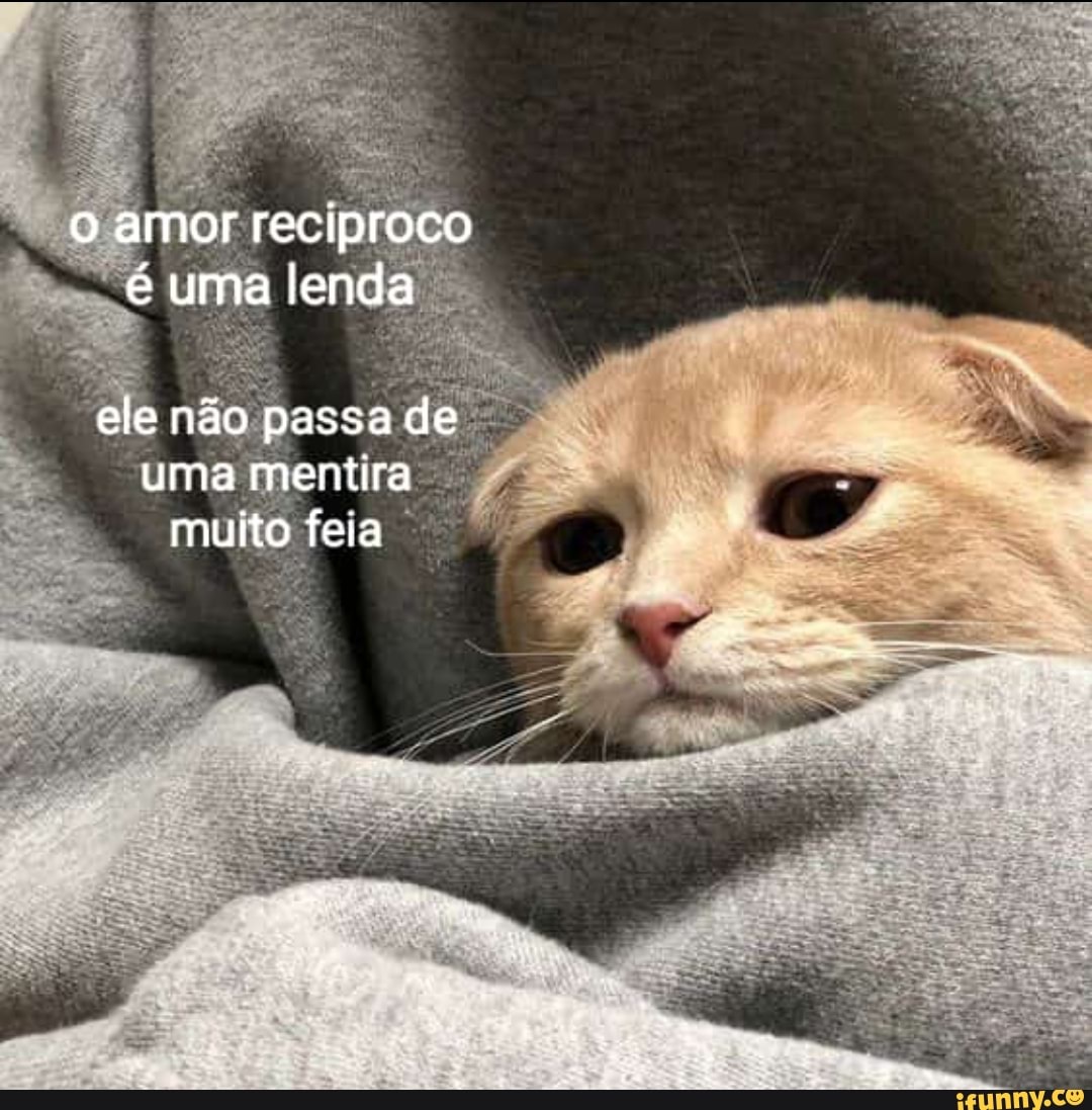 Screaming Cat faleceu, o gatinho que ficou famoso por gritar / chorar em  memes - iFunny Brazil