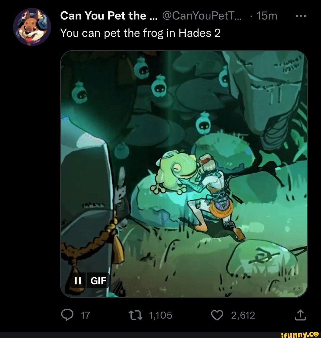 Can You Pet the @CanYouPetT... - You can pet the frog in Hades 2 GIF 17  1,105 - iFunny Brazil