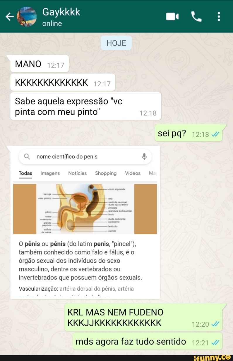 HOJE Gaykkkk online MANO KKKKKKKKKKKKK Sabe aquela expressão 