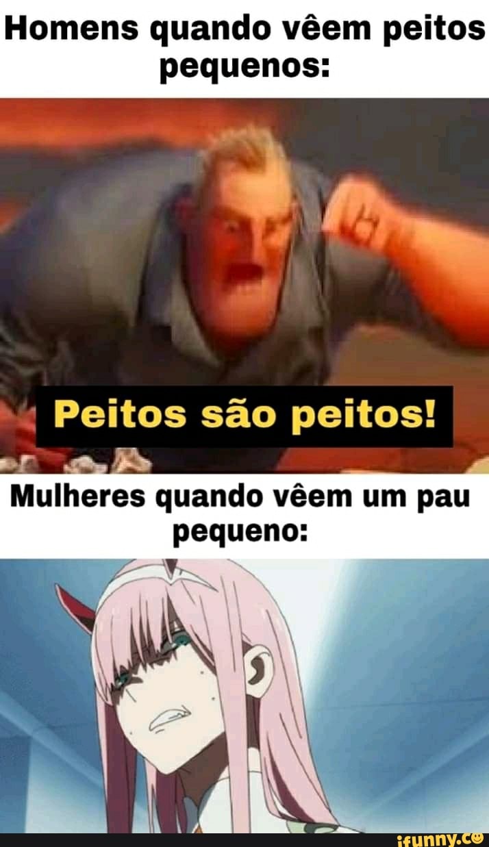 Homens quando vêem peitos pequenos: Mulheres quando vêem um pau pequeno: -  iFunny Brazil