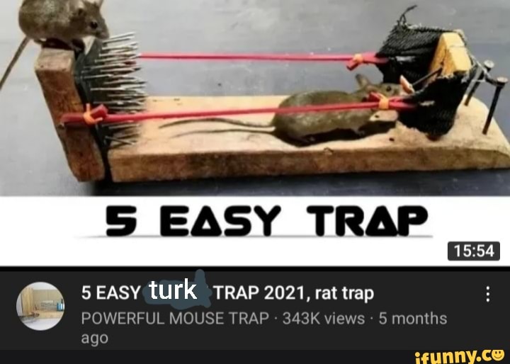 5 Easy Mouse/Rat Trap 