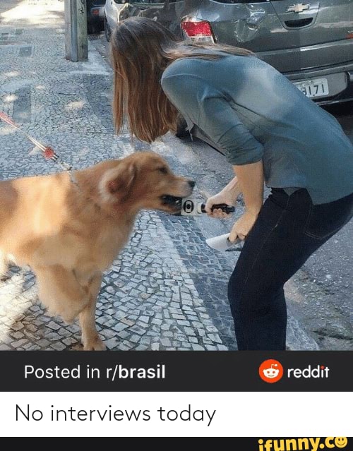 Qual o nome desse meme? : r/brasil