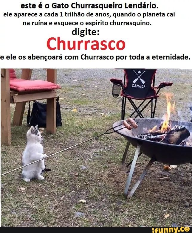 animais #therian #churrasco #churras #sonic #meme #carne #deixaacontec