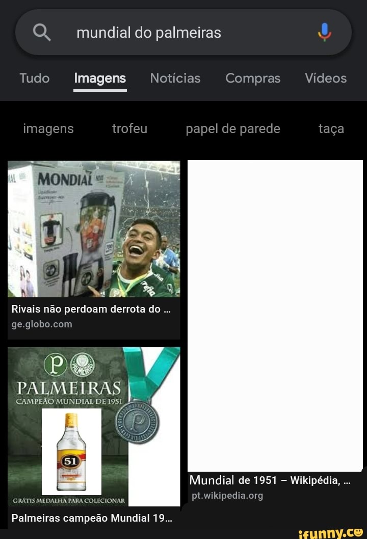 Palmeiras nao tem mundial, Wiki