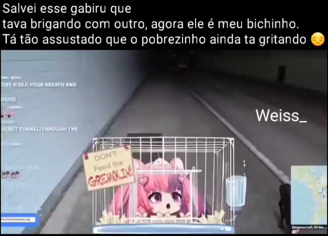 Memes de imagem jYKFN0199 por Gabigool: 2 comentários - iFunny Brazil