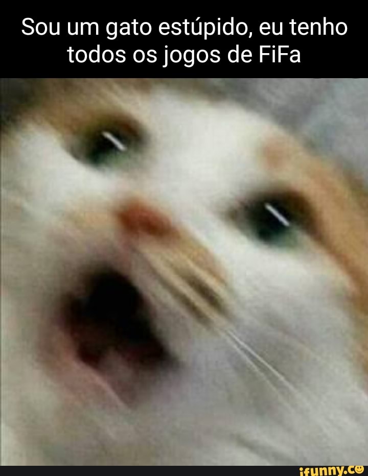 JOGO DO GATO - iFunny Brazil