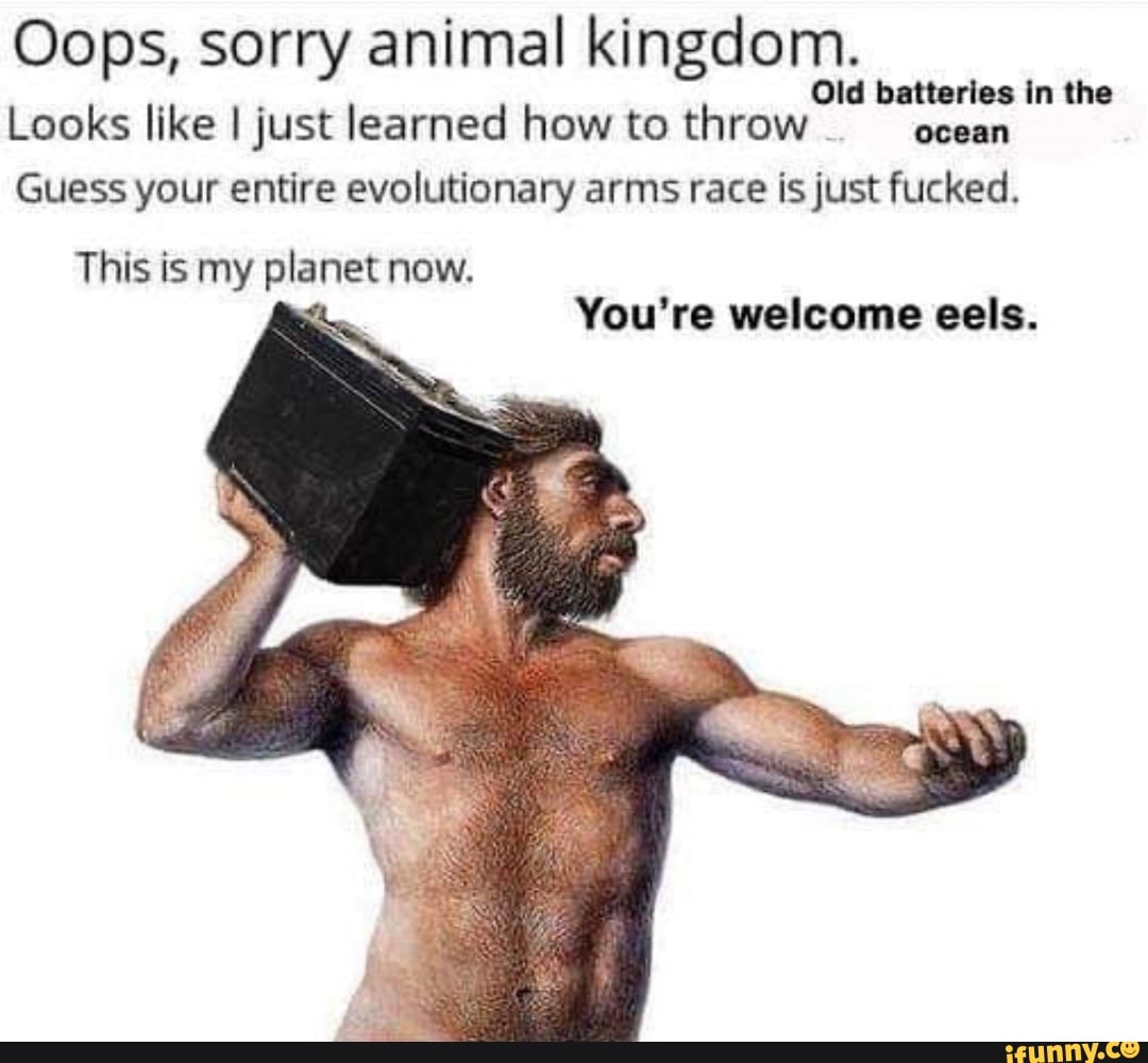 Oops, sorry animal kingdom. Old batteries in the Looks like I just