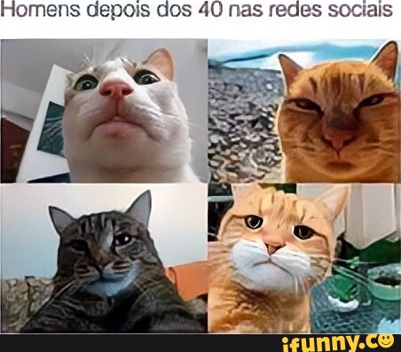 Hrodais memes. Best Collection of funny Hrodais pictures on iFunny Brazil