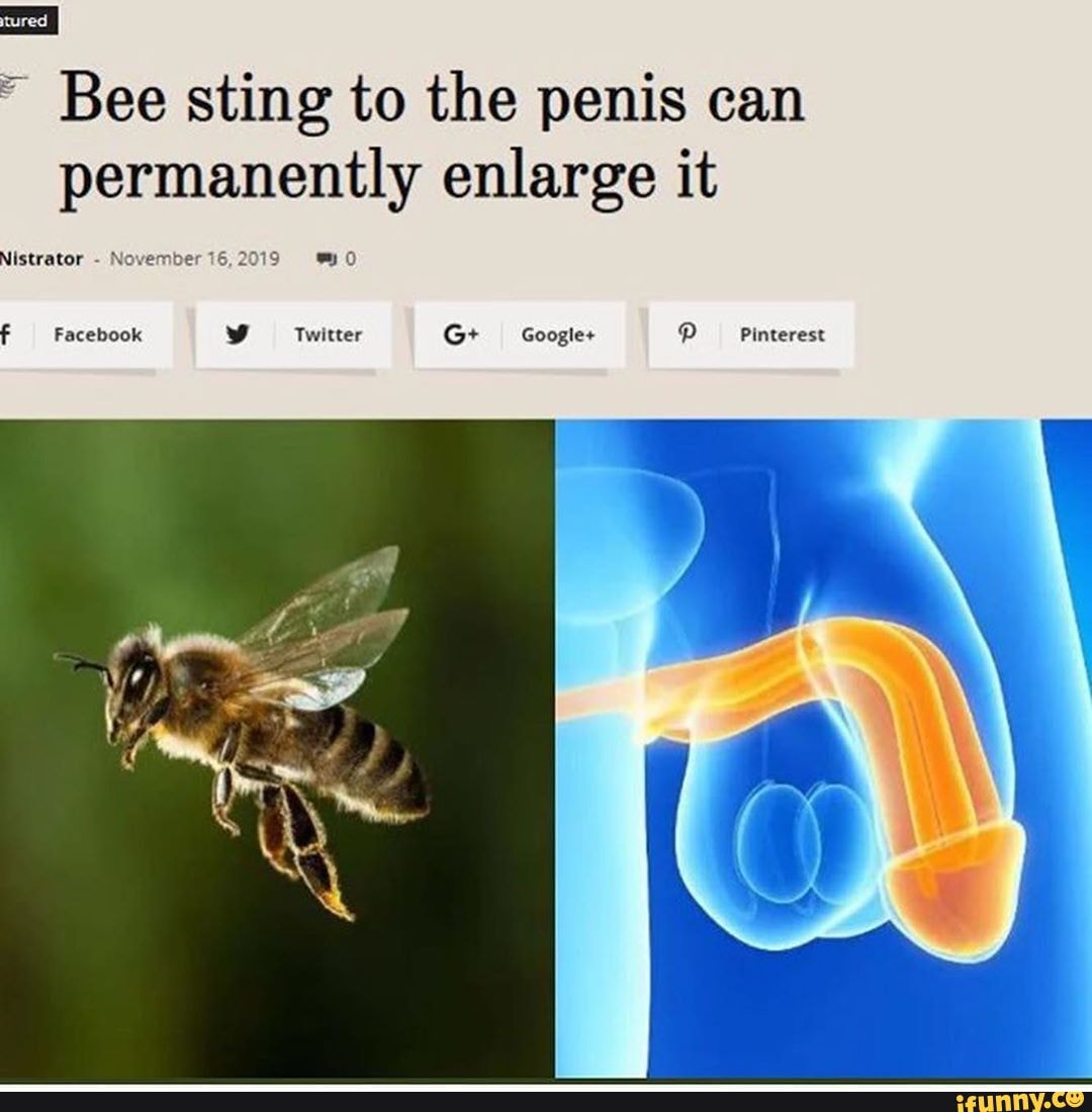 Bee sting to the penis can permanently enlarge it Nistrator