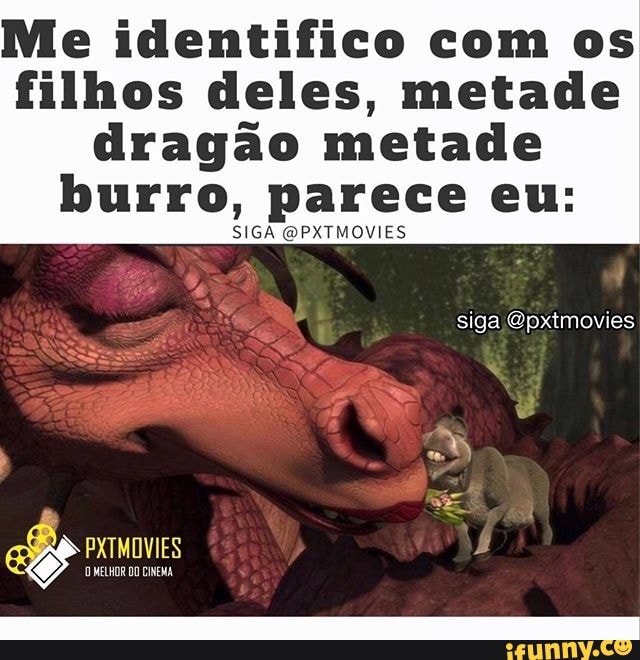 Hoje percebi q pareço esses filhotes do burro do Shrek, metade burro metade  dragão. - iFunny Brazil