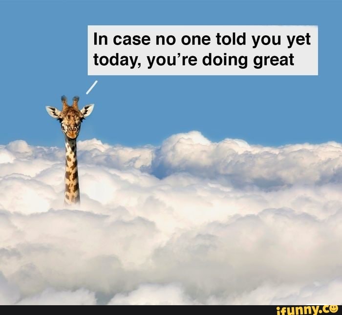 In case no one told you yet today, you're doing great - iFunny Brazil