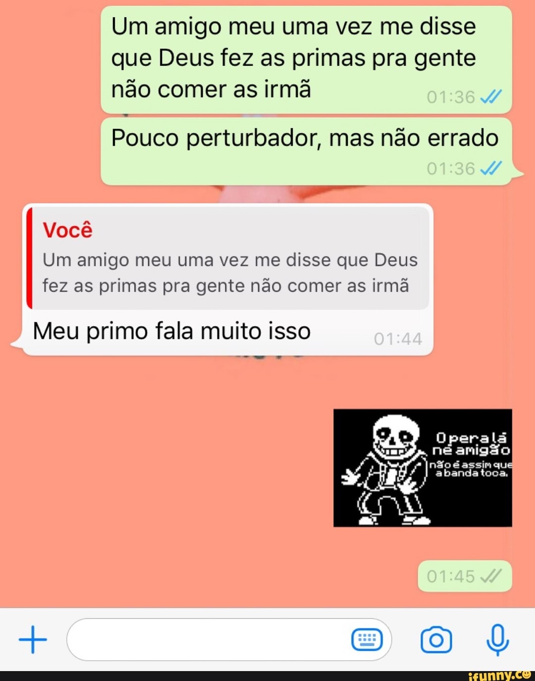 Um amigo meu uma vez me disse que Deus fez as primas pra gente Pouco  perturbador,