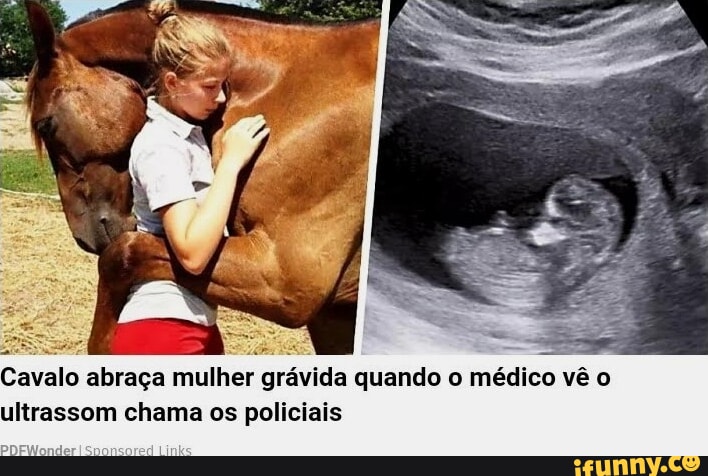 Fui fazer o quiz de qual é o seu namorado do bis e apareceu isso  PDFWonder Cavalo abraça mulher grávida quando o médico vê o ultrassom chama  os policiais - iFunny Brazil