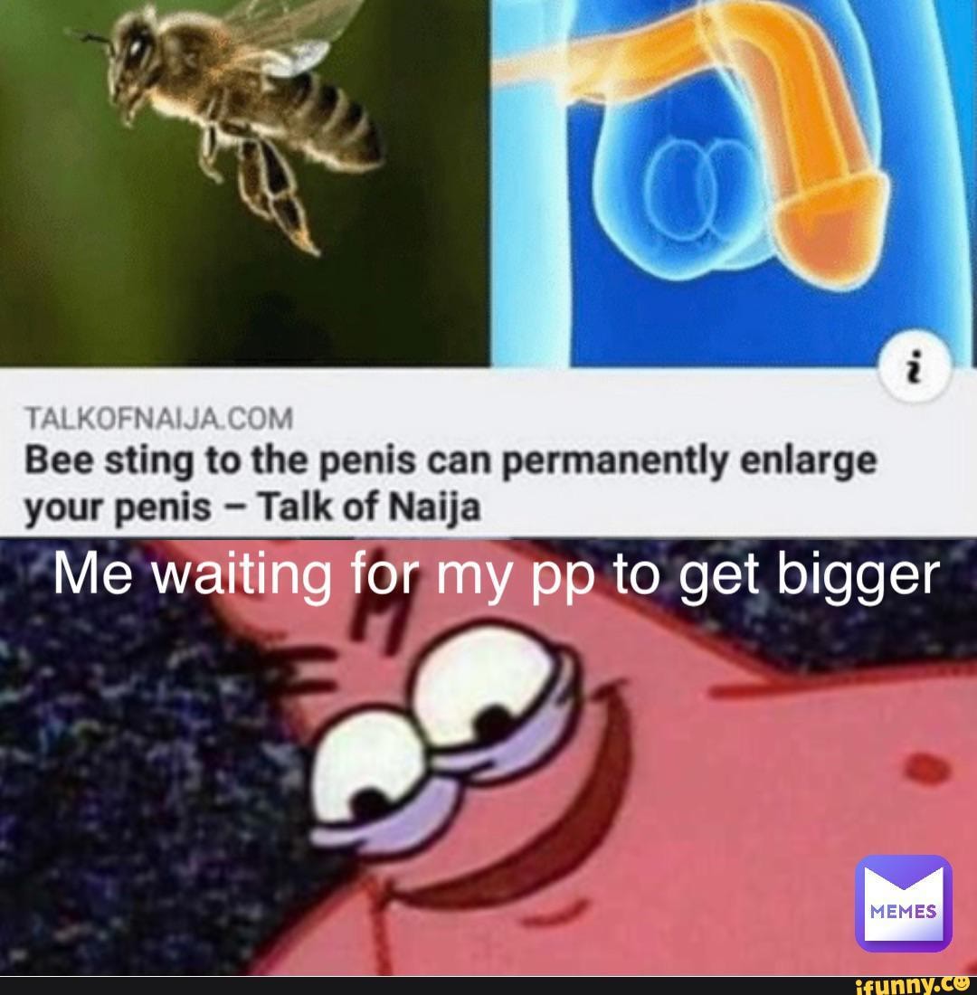 COM Bee sting to the penis can permanently enlarge your penis