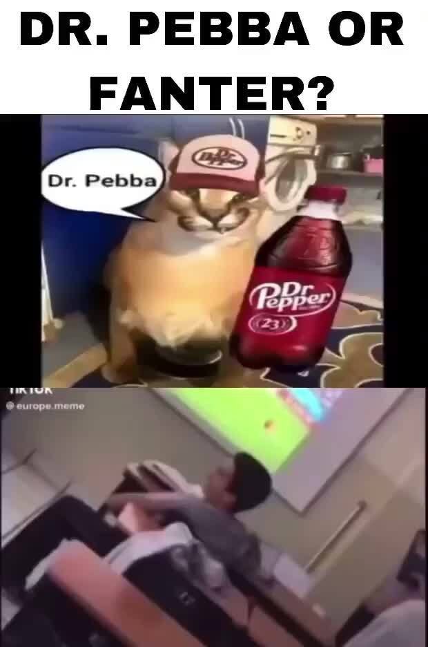 Dr peppa cat meme n｜TikTok Search