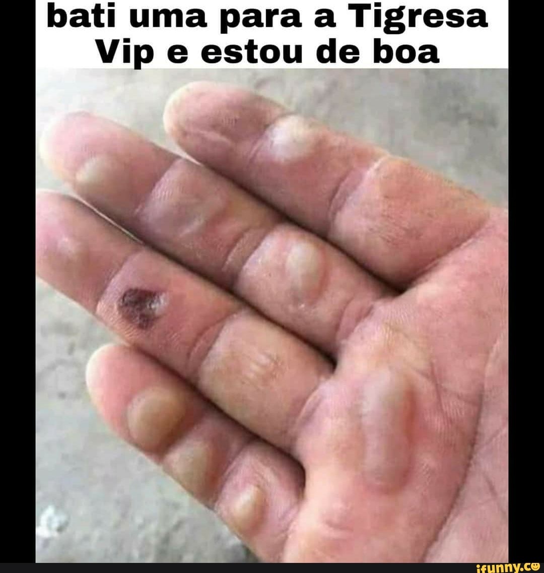 Bati uma para a Tigresa Vip e estou de boa - iFunny Brazil