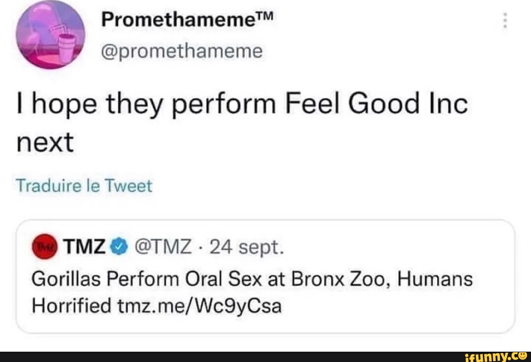 promethameme I hope they perform Feel Good Inc next Traduire le Tweet @ TMZ  @TMZ 24 sept. Gorillas Perform Oral Sex at Bronx Zoo, Humans Horrified -  iFunny Brazil