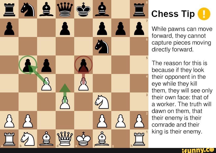 Only Top 1% With Hawk Eyes Can Spot The Mistake In Chess Pieces Within 5  Seconds!
