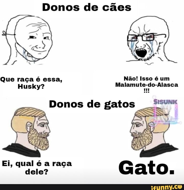 Indefesas memes. Best Collection of funny Indefesas pictures on iFunny  Brazil