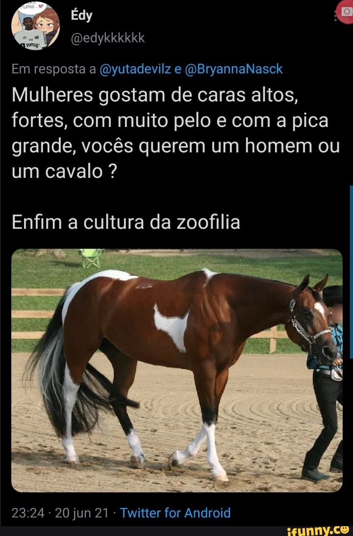 ES) Edy Em resposta a (Oyutadevilz e (DBryannaNasck Mulheres gostam de  caras altos, fortes, com muito