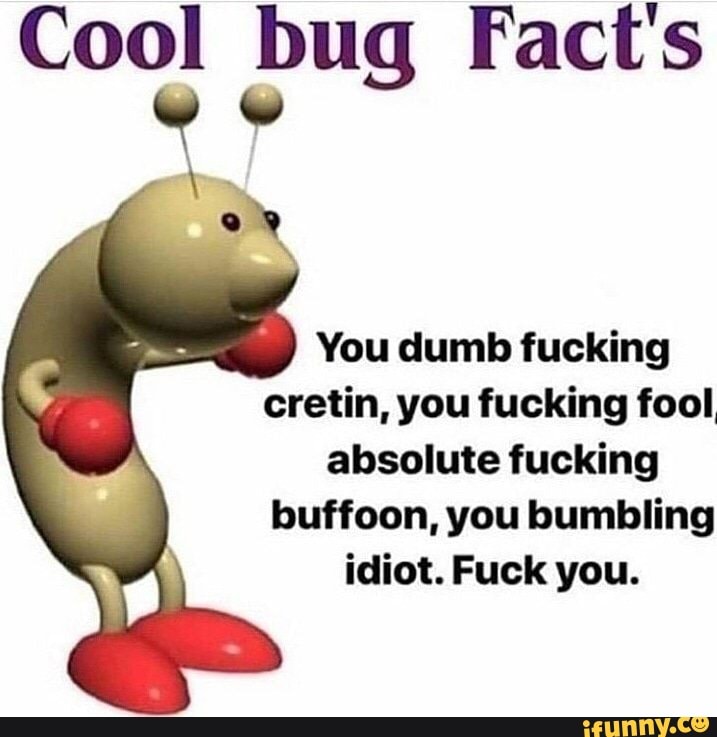 Cool bug Fact's ug » You dumb fucking cretin, you fucking fool