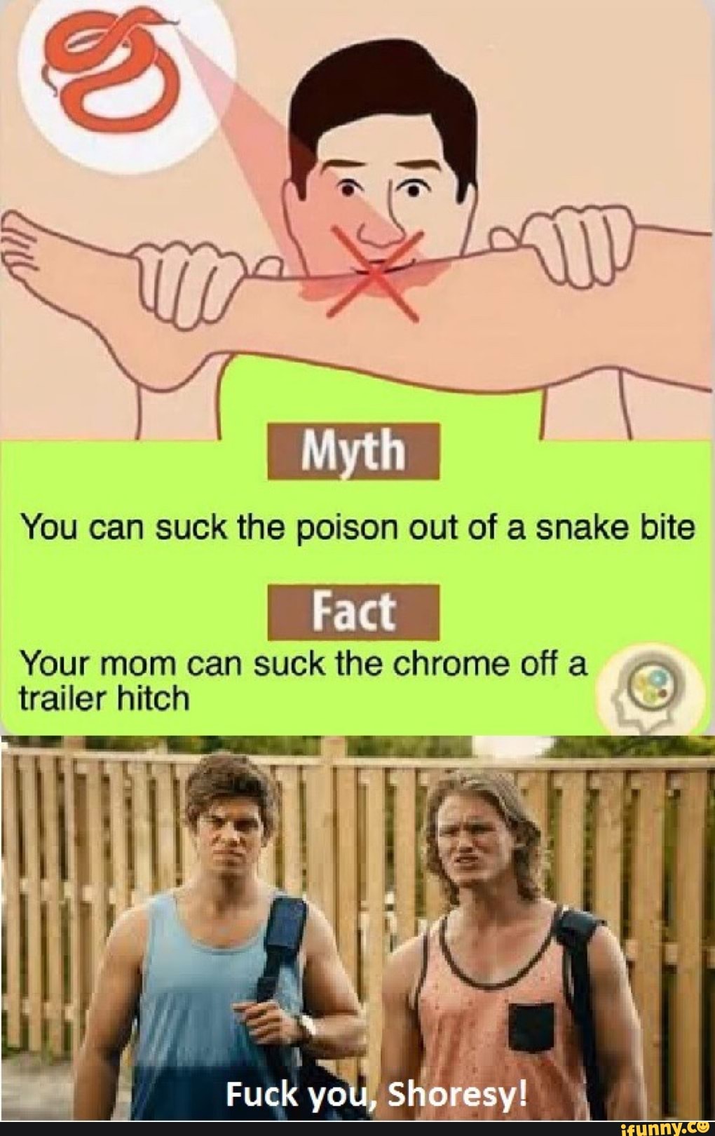 You can suck the poison out of a snake bite Your mom can suck the chrome off  a trailer hitch O - iFunny Brazil