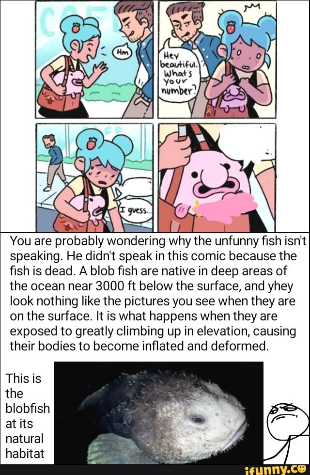 Blob Fish I Feel Pretty Funny Meme  Blobfish, Fish illustration, I feel  pretty