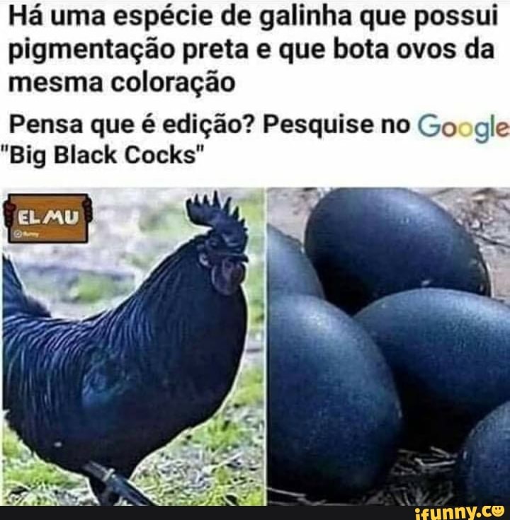 Coloração e Pigmentação