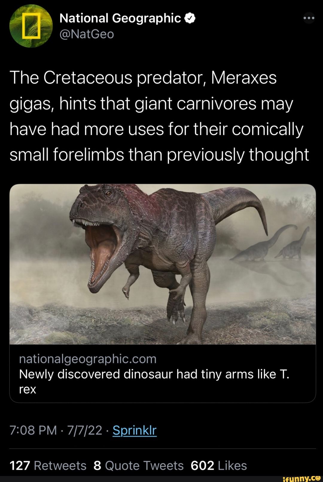 Newly discovered dinosaur had tiny arms like T. rex