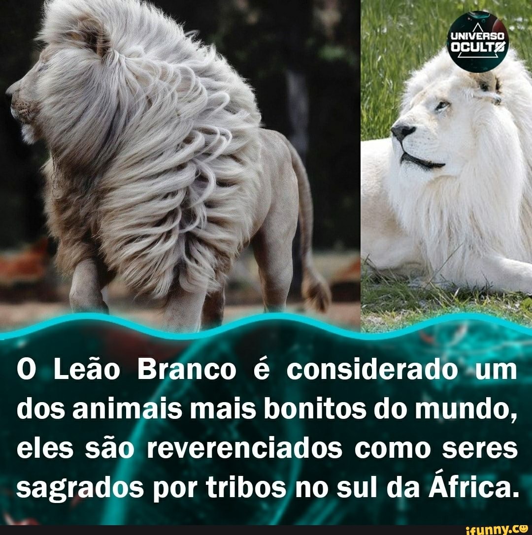 LEÃO! TOP 10 MELHORES JOGOS de ANIMAL no ROBLOX! 