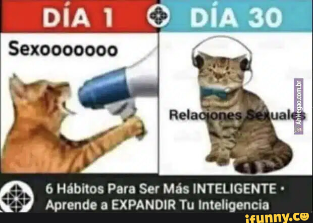 Sesiamos memes. Best Collection of funny Sesiamos pictures on iFunny Brazil