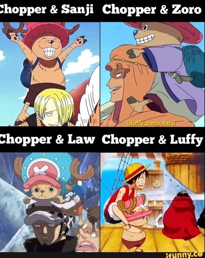 The One Piece is real!#meme #zoro #sanji #chopper #onepiece
