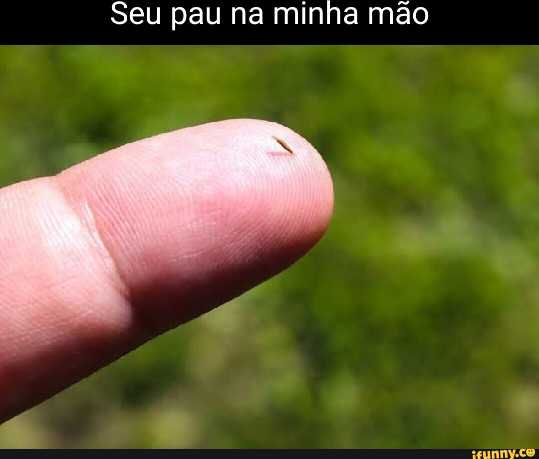 Seu pau na minha mão - iFunny Brazil