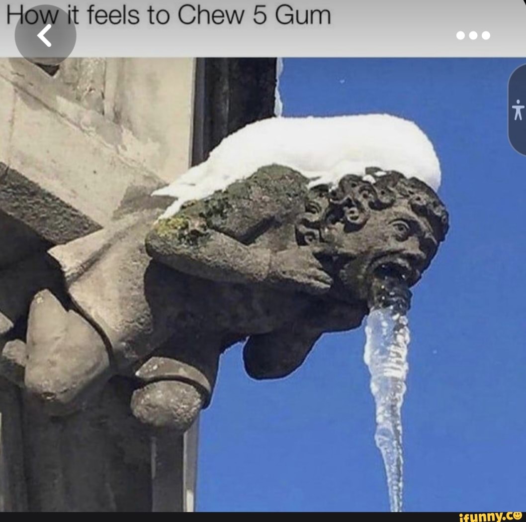 It feels to Chew 5 Gum - iFunny Brazil