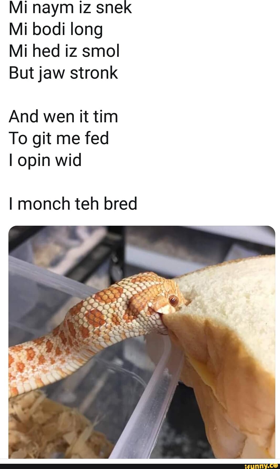 Mi Naym Iz Snek Mi Bodi Long Mi Hed Iz Smol But Jaw Stronk And Wen It 