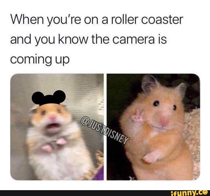 When you re on a roller coaster and you know the camera is coming