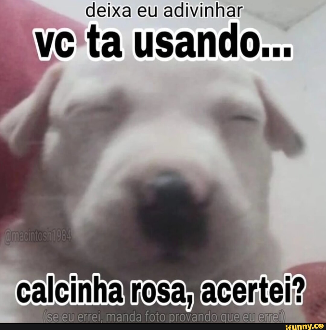 Calcinha memes. Best Collection of funny Calcinha pictures on iFunny Brazil