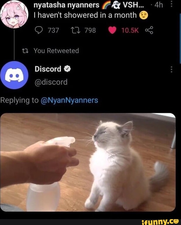 Discord memes. Best Collection of funny Discord pictures on iFunny