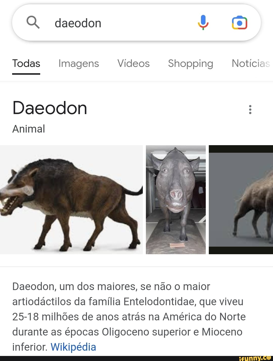 Daeodon Todas Imagens Vídeos Shopping Notícias Daeodon Animal Daeodon ...