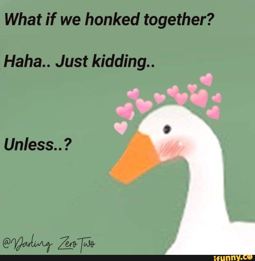 Goose memes. Best Collection of funny Goose pictures on iFunny Brazil