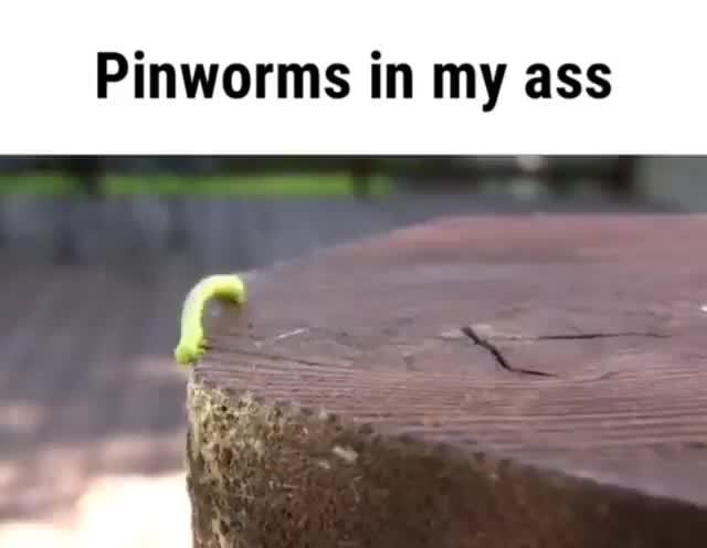 Pin de Inchworm em hilarious