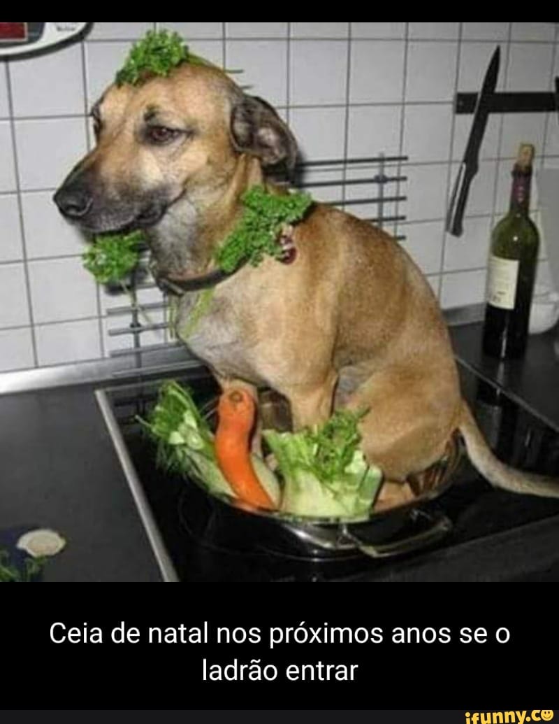 Dalhe bicuda na cara do cão KKKKKKKKKK #memes #tentenaorir #sonhos # significado #natal #anonovo 