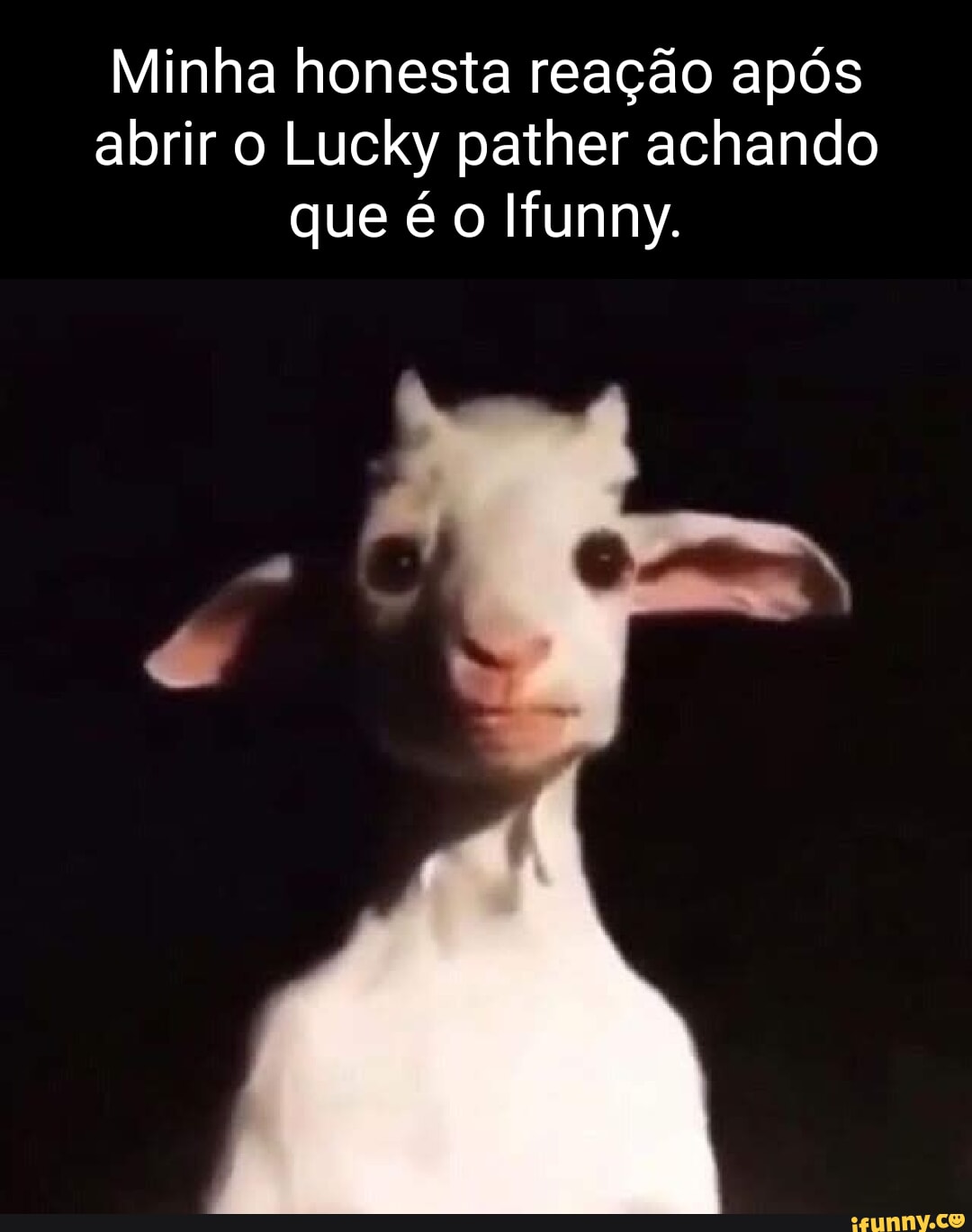 Macabras memes. Best Collection of funny Macabras pictures on iFunny Brazil