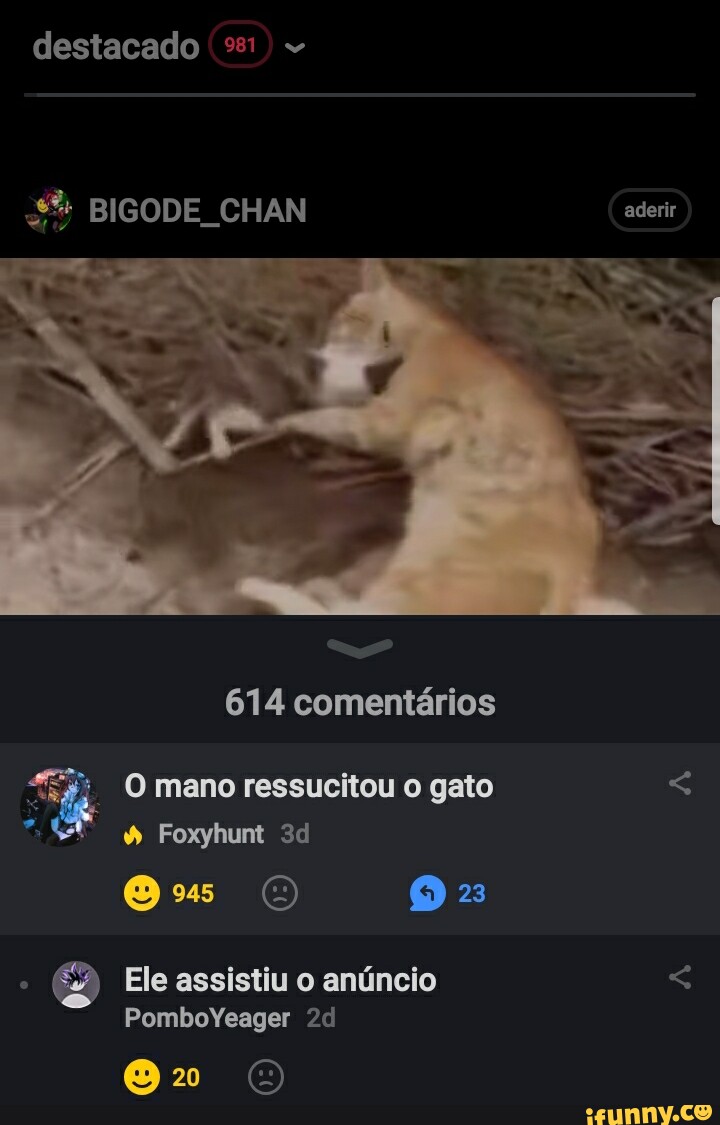 Coletico memes. Best Collection of funny Coletico pictures on iFunny Brazil