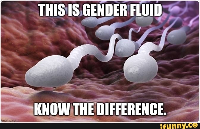gender differences funny
