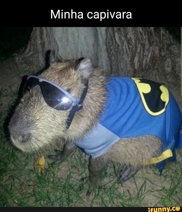 Memes de imagem WinPbZNWA por capivarinhaChan - iFunny Brazil