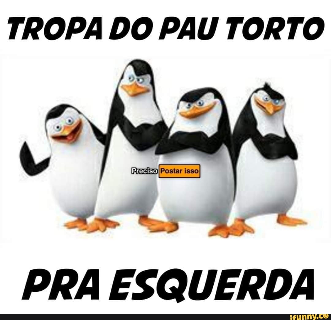 TROPA DO PAU TORTO PRA ESQUERDA - iFunny Brazil